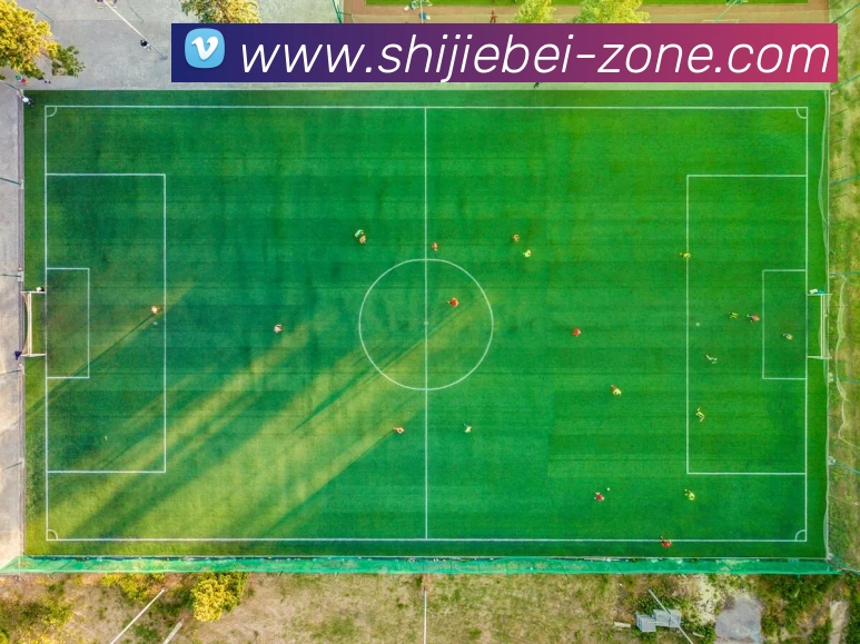 独行侠寻求交易方案加福德克莱拉塞尔或成交易核心